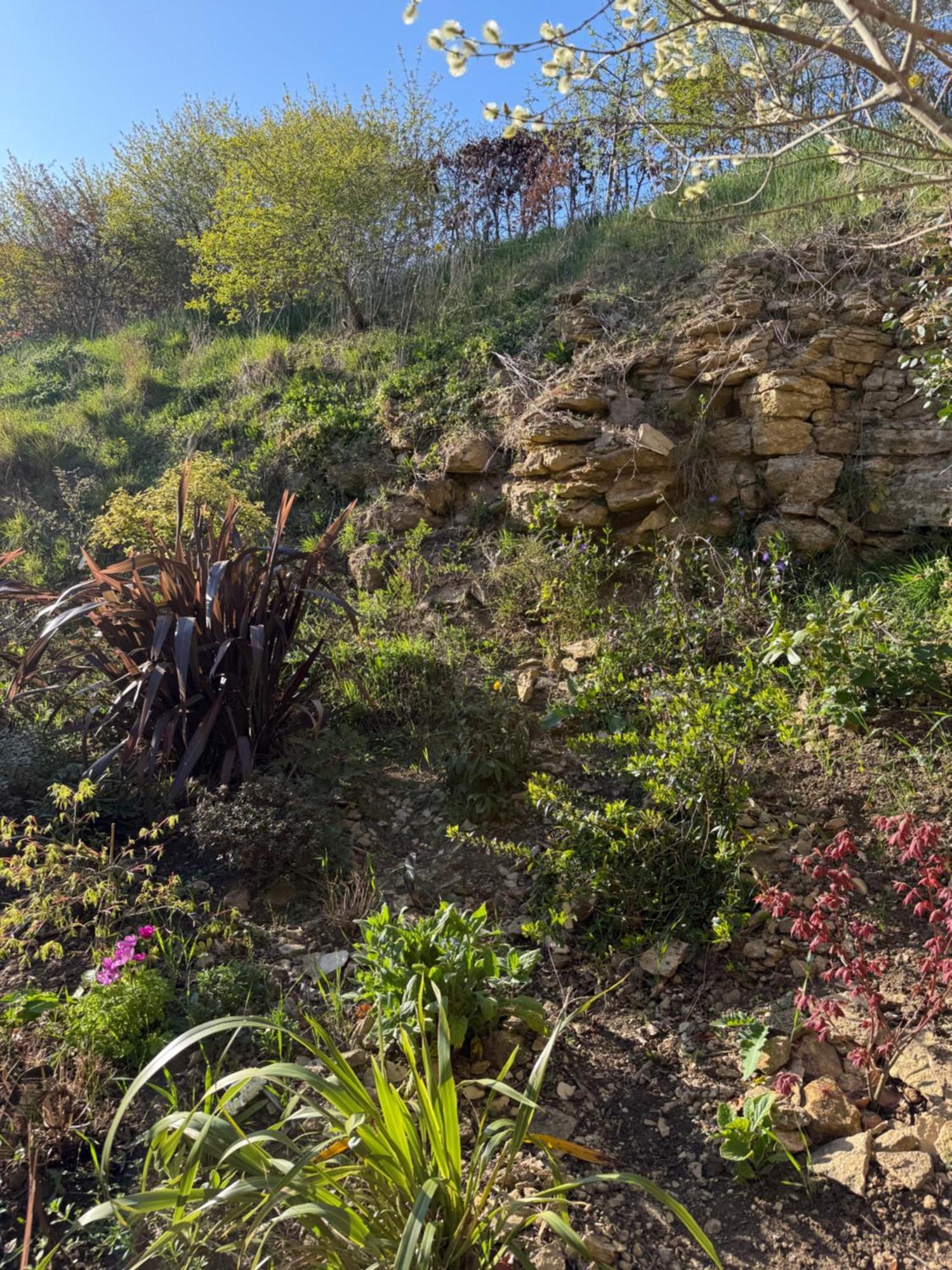 Mulberry House Farm Mulberry Lodge 치펜햄 외부 사진